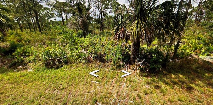 Land in Port Charlotte, Florida № 2205867