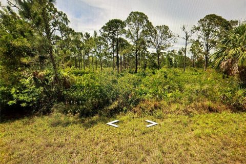 Land in Port Charlotte, Florida № 2205867 - photo 3