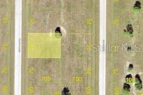 Land in Placida, Florida № 2165477 - photo 2