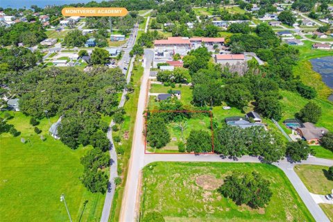 Land in Montverde, Florida № 1885641 - photo 2