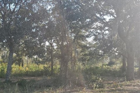 Land in Indian lake estates, Florida № 2213466