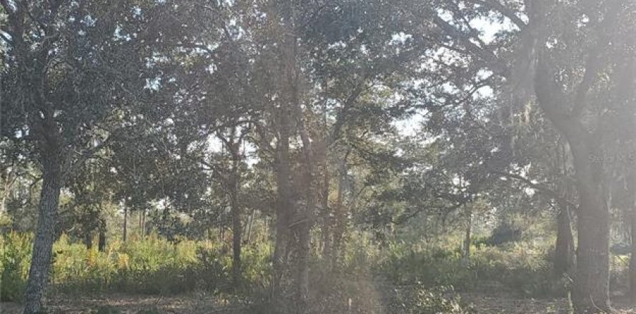 Land in Indian lake estates, Florida № 2213466