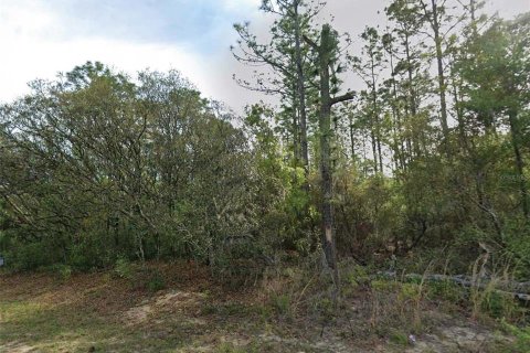 Terreno en Citrus Springs, Florida № 2209948