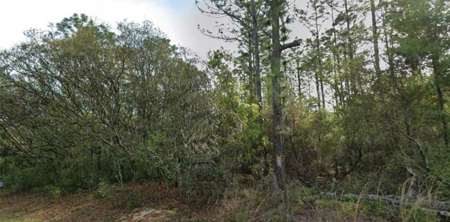 Land in Citrus Springs, Florida № 2209948