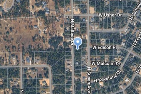 Land in Citrus Springs, Florida № 2209948 - photo 2