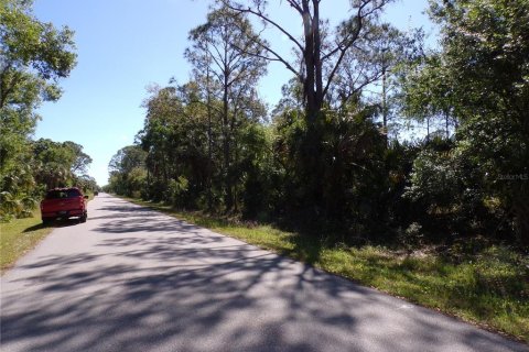Land in Punta Gorda, Florida № 2228897 - photo 3