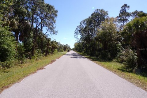 Land in Punta Gorda, Florida № 2228897 - photo 13