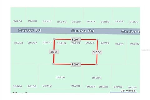 Land in Punta Gorda, Florida № 2228897 - photo 4