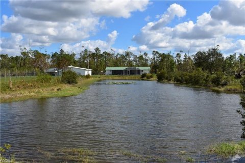 Villa ou maison à vendre à Punta Gorda, Floride: 4 chambres, 238.76 m2 № 2407014 - photo 2