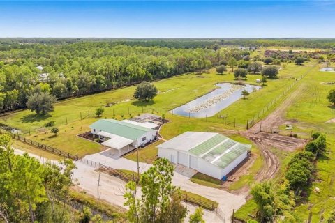 Villa ou maison à vendre à Punta Gorda, Floride: 4 chambres, 238.76 m2 № 2407014 - photo 5