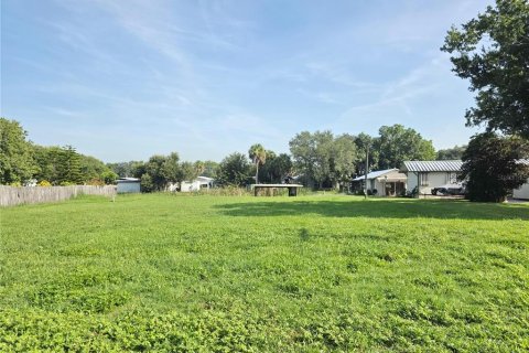 Land in Okeechobee, Florida № 1820912 - photo 8