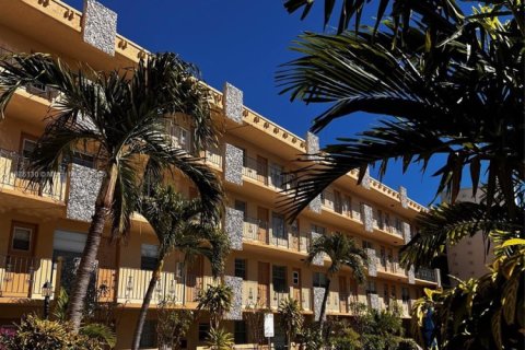Condo in Hollywood, Florida, 1 bedroom № 1980572 - photo 1