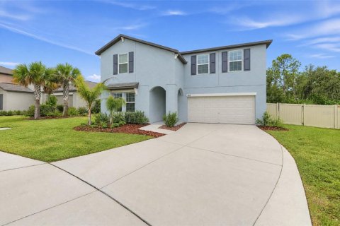 Villa ou maison à Wimauma, Floride 7 chambres, 312.34 m2 № 2410238