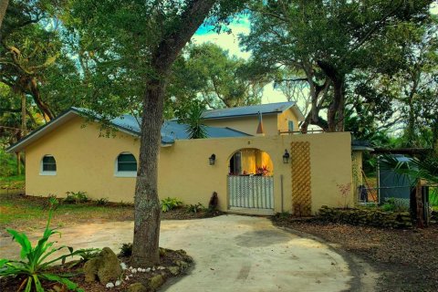 House in Palm Coast, Florida 3 bedrooms, 269.6 sq.m. № 2207600 - photo 2