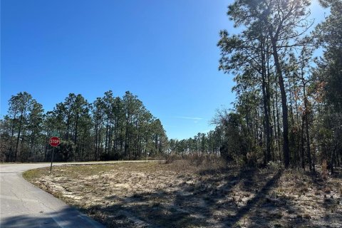 Terrain à vendre à Dunnellon, Floride № 1564925 - photo 2