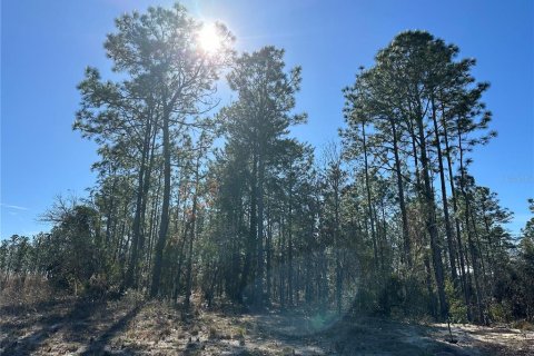 Land in Dunnellon, Florida № 1564925 - photo 1
