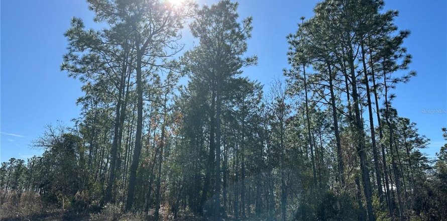 Land in Dunnellon, Florida № 1564925
