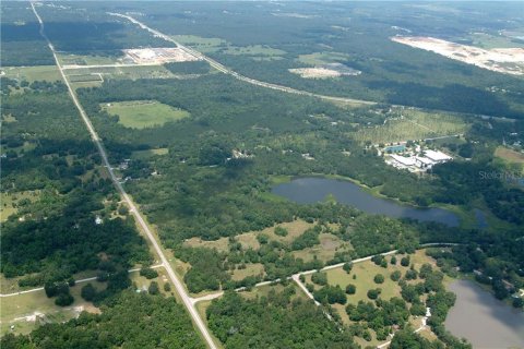 Land in Brooksville, Florida № 230329 - photo 3