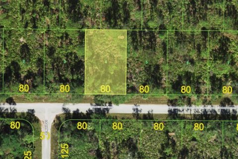 Land in Punta Gorda, Florida № 2363996