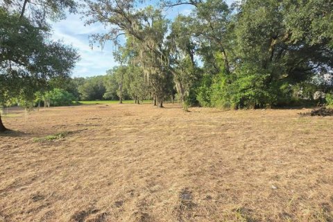 Land in Orlando, Florida № 1572156 - photo 3
