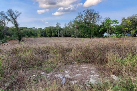 Land in Orlando, Florida № 1572156 - photo 1