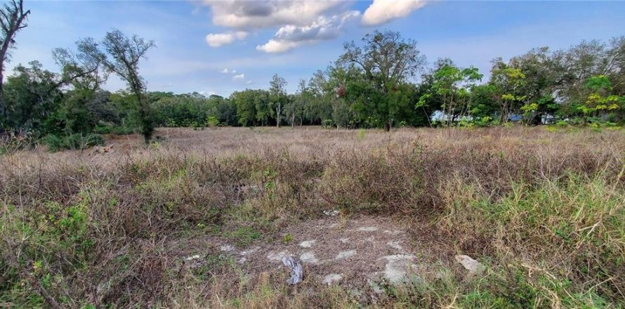 Terreno en Orlando, Florida № 1572156