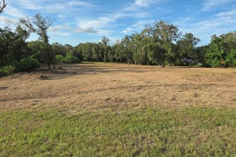 Land in Orlando, Florida № 1572156 - photo 2
