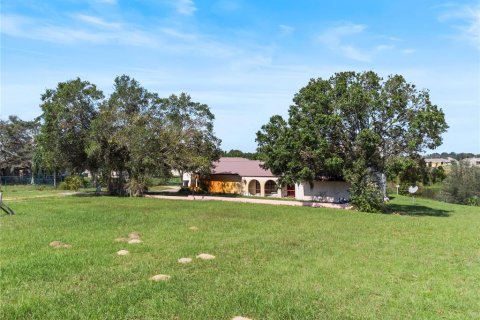 Land in Lake Wales, Florida № 1405746 - photo 23