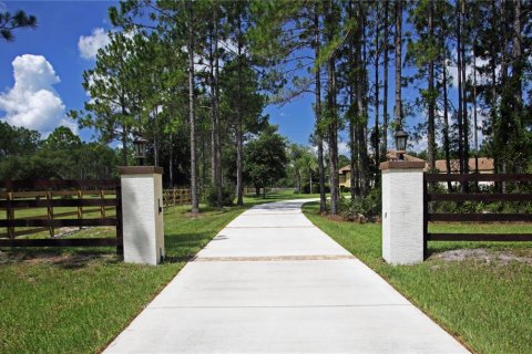 Villa ou maison à vendre à Palm Coast, Floride: 3 chambres, 302.03 m2 № 2205445 - photo 3