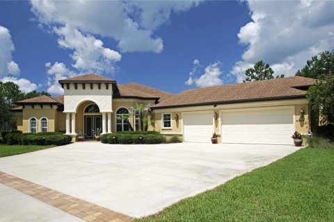 Villa ou maison à Palm Coast, Floride 3 chambres, 302.03 m2 № 2205445