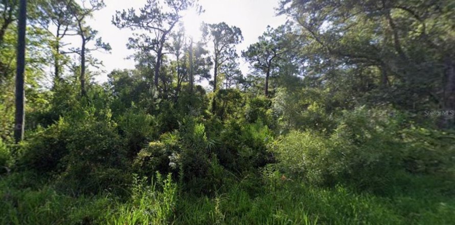 Terreno en New Port Richey, Florida № 2198542