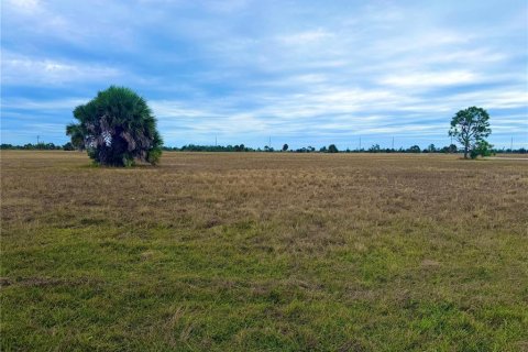 Terrain à Placida, Floride № 2160456