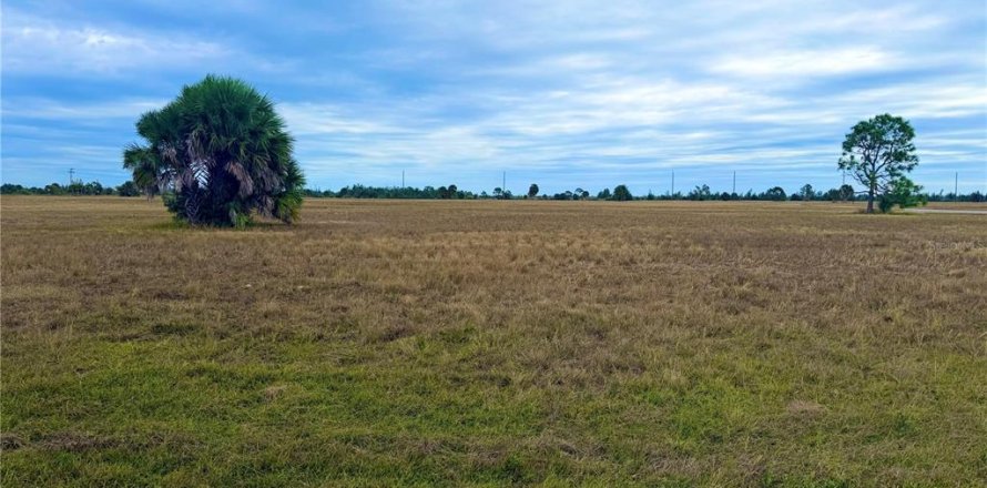 Land in Placida, Florida № 2160456