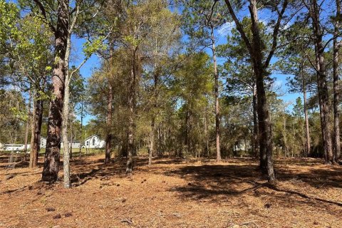 Terrain à vendre à Ocala, Floride № 2159766 - photo 4