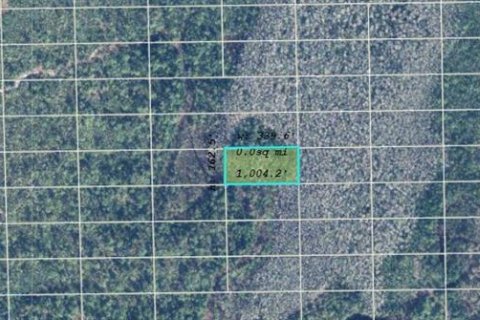 Land in Orlando, Florida № 2163680 - photo 2