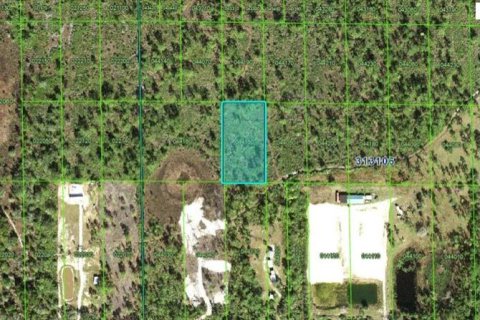 Terreno en Lake Wales, Florida № 2235013