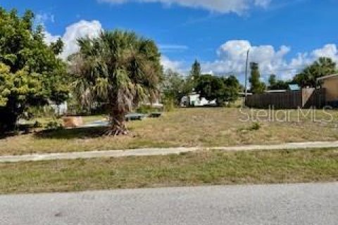 Land in Port Charlotte, Florida № 2160294 - photo 2