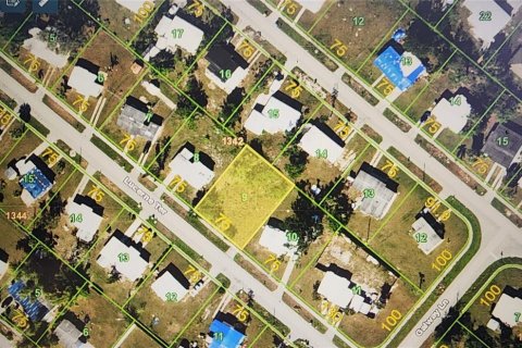 Land in Port Charlotte, Florida № 2160294 - photo 3