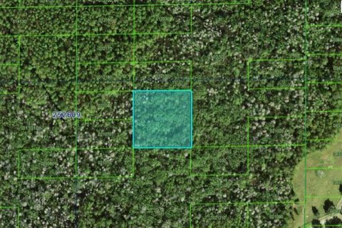 Terrain à Polk City, Floride № 2164050