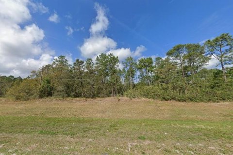 Land in Polk City, Florida № 2164050 - photo 2