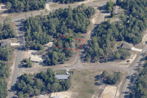 Land in Citrus Springs, Florida № 2163355