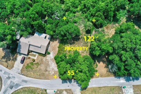 Land in Inverness, Florida № 2212460 - photo 5