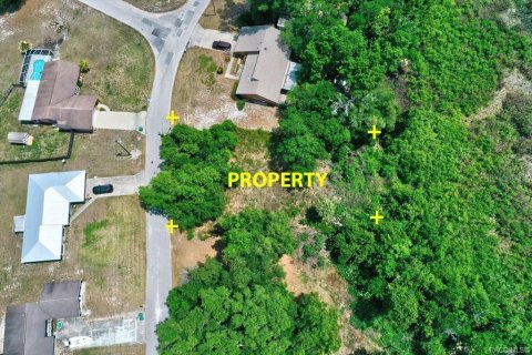 Land in Inverness, Florida № 2212460 - photo 3
