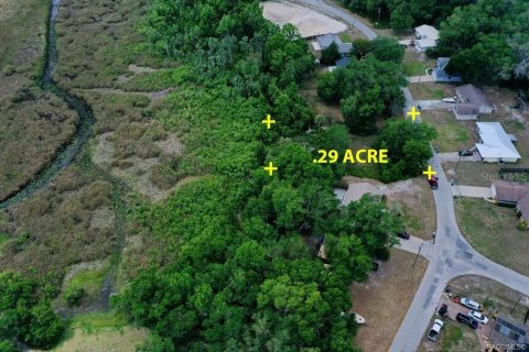 Land in Inverness, Florida № 2212460
