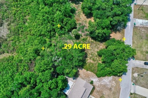 Land in Inverness, Florida № 2212460 - photo 2