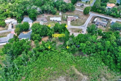 Land in Inverness, Florida № 2212460 - photo 4