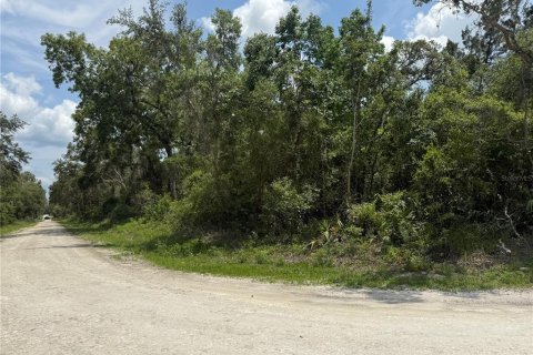Terreno en venta en Webster, Florida № 1737011 - foto 6