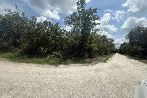 Terreno en venta en Webster, Florida № 1737011 - foto 5