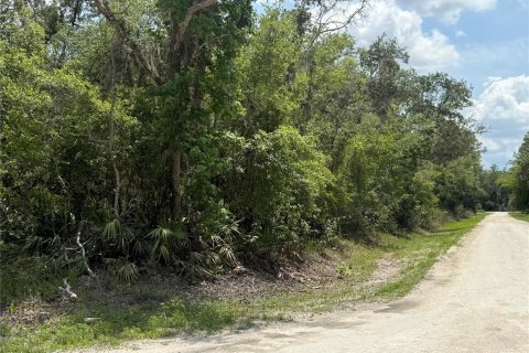Terreno en venta en Webster, Florida № 1737011 - foto 7