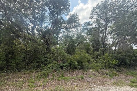 Terreno en venta en Webster, Florida № 1737011 - foto 3